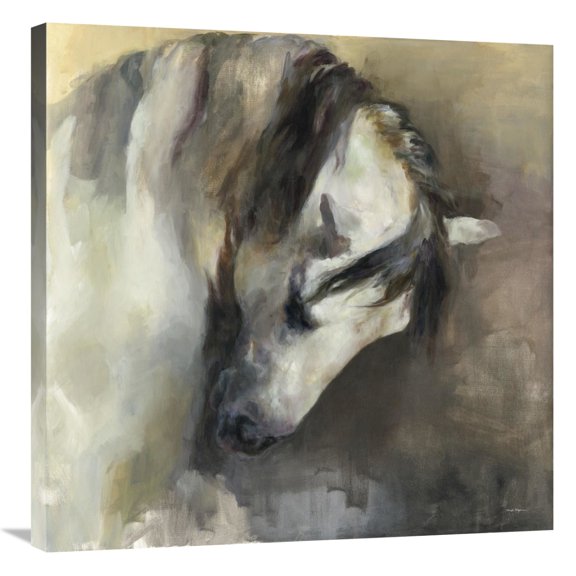 Global Gallery's 'Classical Horse v2' By Marilyn Hageman Stretched Canvas Wall Art
