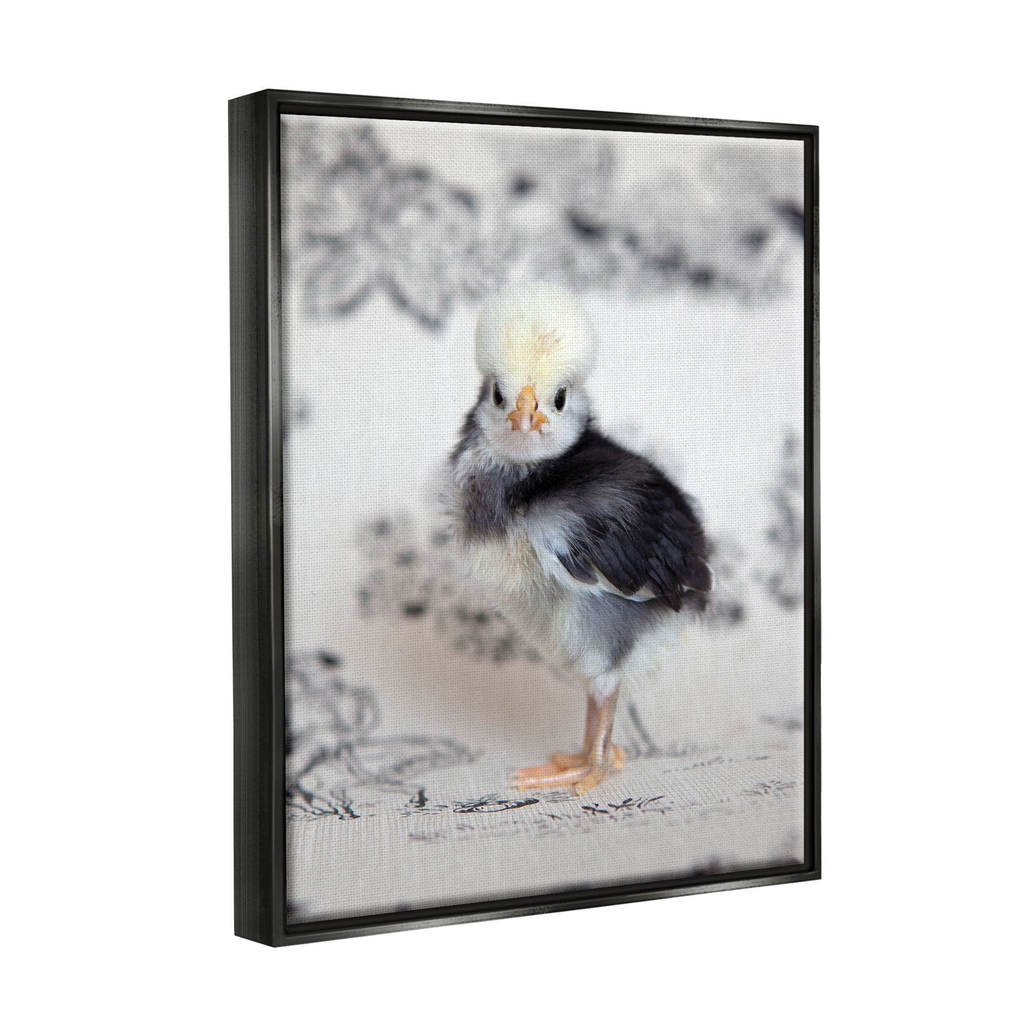 Stupell Industries Calm Baby Bird Chick Gazing Close-Up Photography Pattern Photograph Metallic Gold Floating Framed Canvas Print Wall Art, Design by Tania Soderman