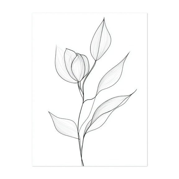 Timeless Minimalist Floral Line Drawing - Line Drawing Line Art Botanical Minimalist Black and White Flowers Nature Modern Art Unframed Wall Art Print 5 x 7 inches