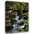 thumbnail image 1 of Brian Moore 31x44 Gallery Wrapped Canvas Wall Art Titled - Falls in the Forest I, 1 of 4