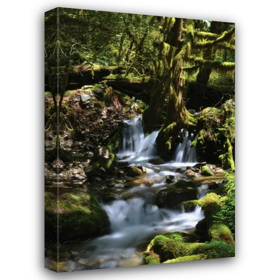 Brian Moore 31x44 Gallery Wrapped Canvas Wall Art Titled - Falls in the Forest I