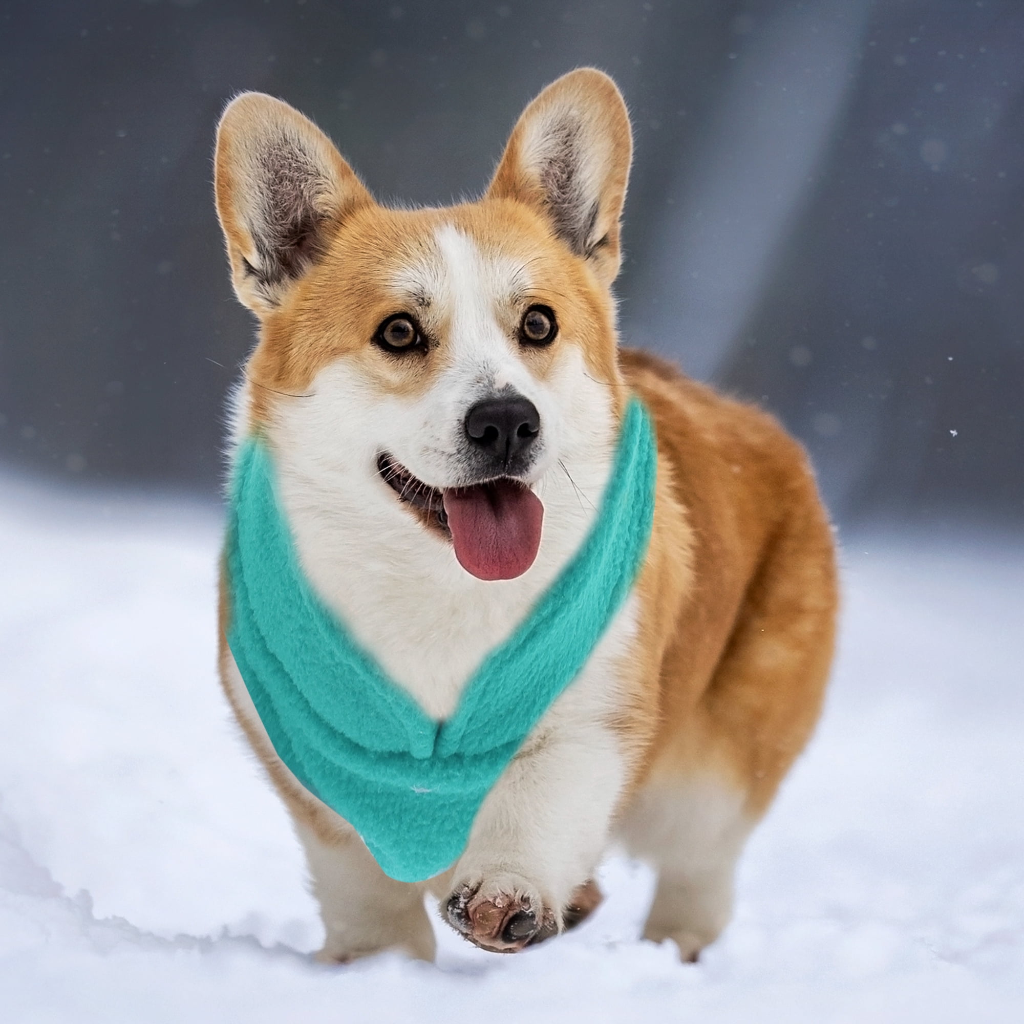 Unique Bargains Dog Cat Warm Vest Small Dog Cat Jumpers Lake Blue S
