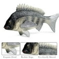 thumbnail image 3 of Ksopiavobs Realistic Animal Figures Tilapia Mossambica Sea Animal Toy, Science Project, Cake Topper, Early Educational Toys Birthday for Toddlers Kids Age 3 4 5, 3 of 5