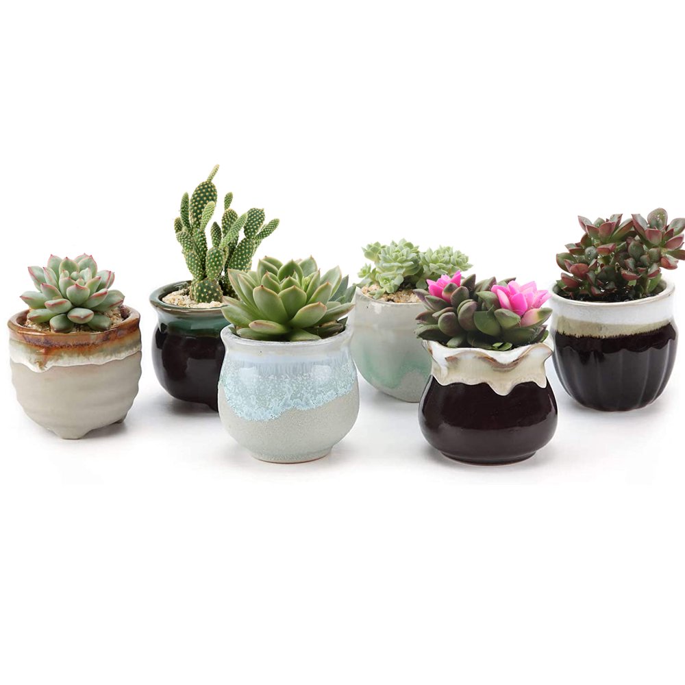 Small Ceramic Succulent Pots with Drainage Set of 6, Mini Pots for