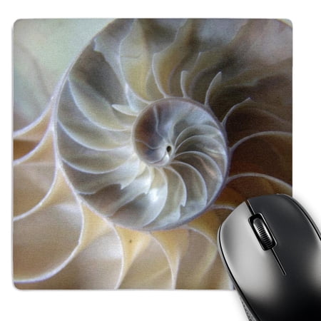 3dRose  Inside Nautilus  MousePad price history on PriceWatchPro
