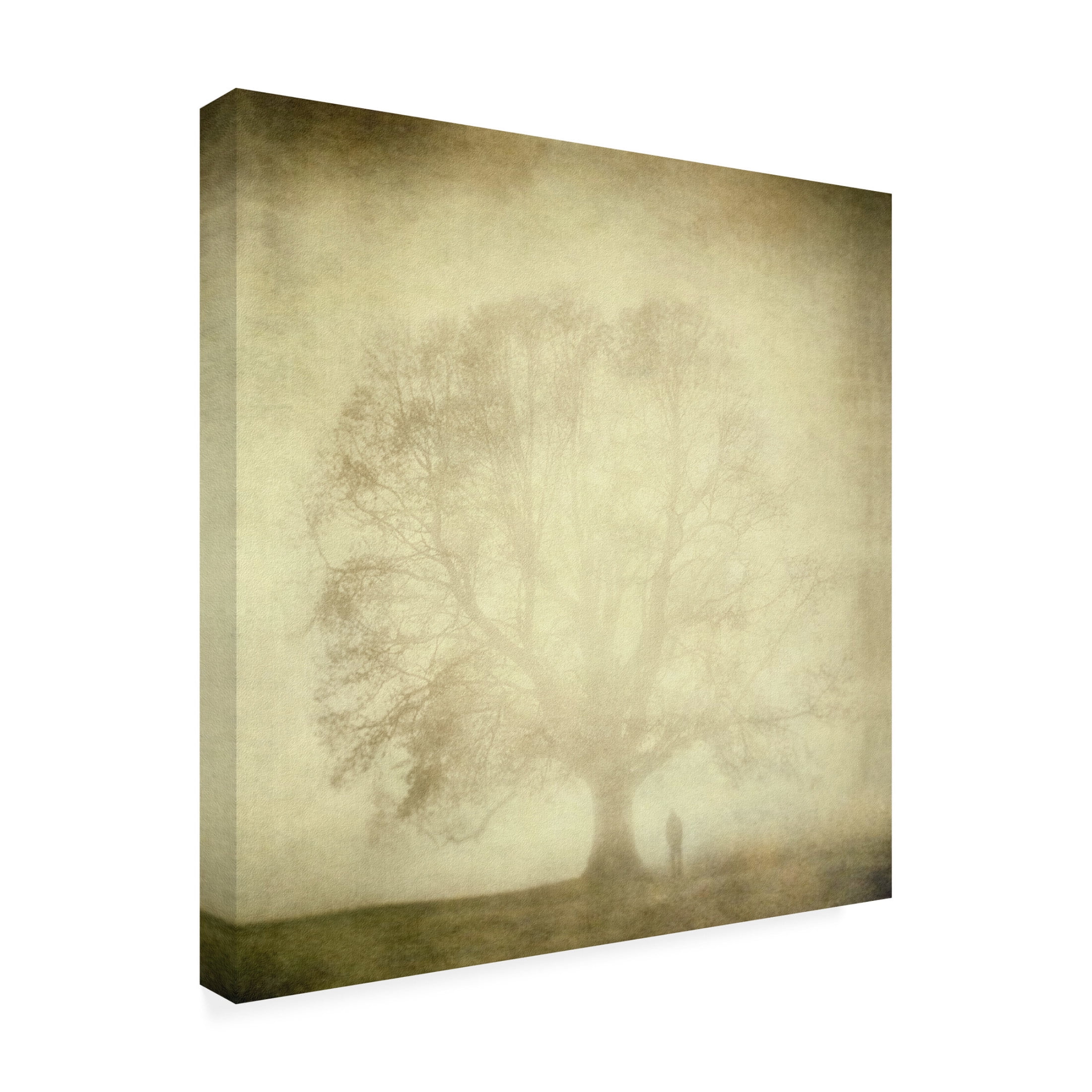 Canvas Wall Art - Katarina Holmstrom 'Trees 3' Wall Art for Living Room, Bedroom, or Office Décor by Trademark Fine Art - 35 x 35 Inches