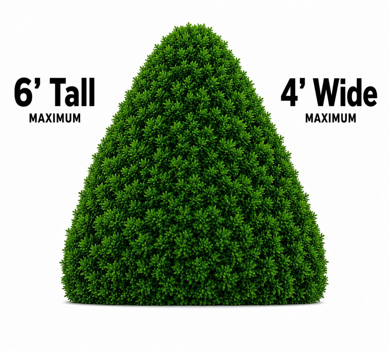 Southern Living Nandina Obsession Live Shrub in 3-Gallon Grower Pot