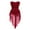 Burgundy, variant on iiniim Girls' Kids Lyrical Dance Dresses Latin Contemporary High-Low Tutu Skirt Stage Performance Costumes Black 4