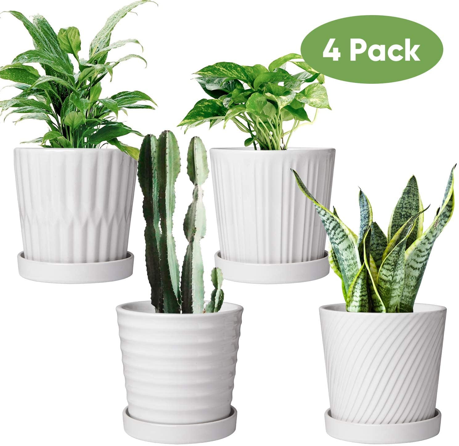 Flower Pots,6 Inch Succulent Pots with Drinage,Indoor