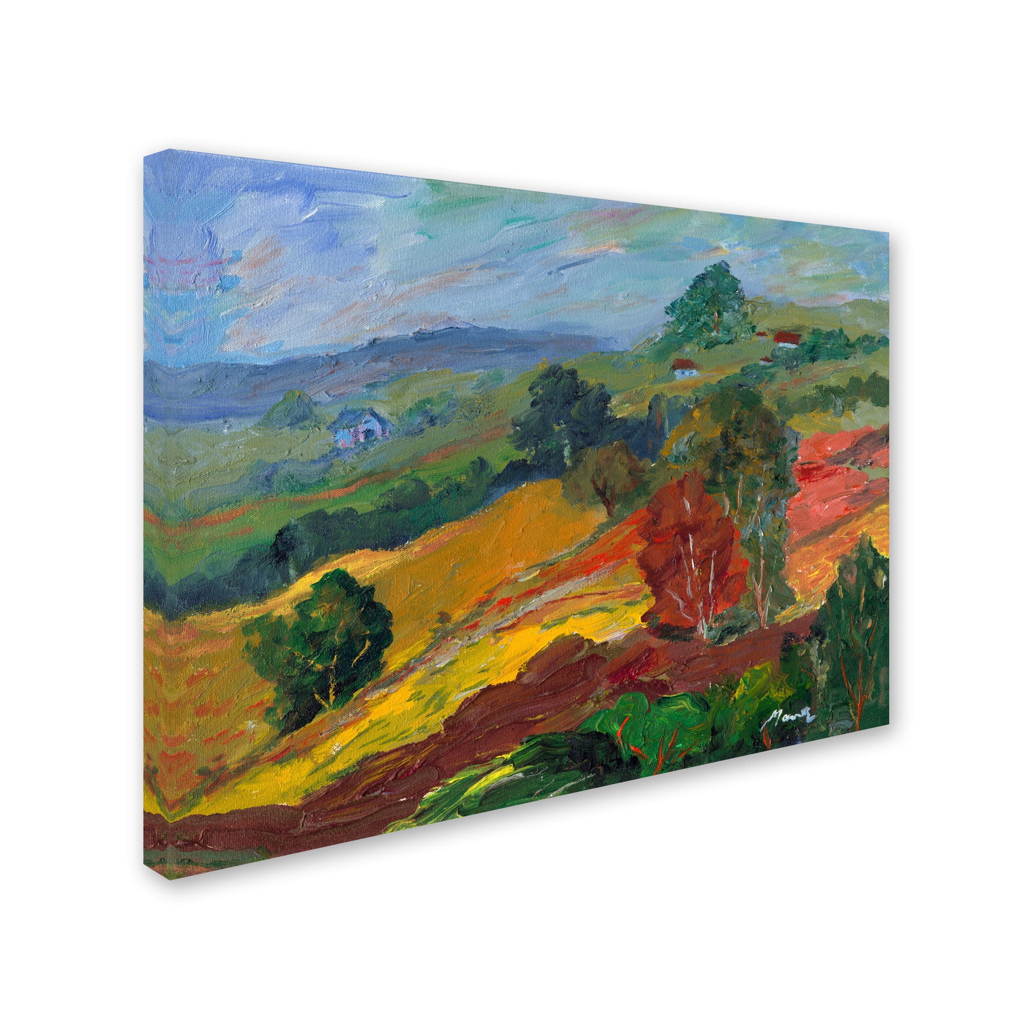 Trademark Fine Art "Rainbow Forest" Canvas Art by Manor Shadian
