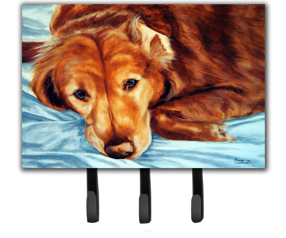 Carolines Treasures AMB1031TH68 Collie by Tanya and Craig Amberson Leash or Key Holder Multicolor Large