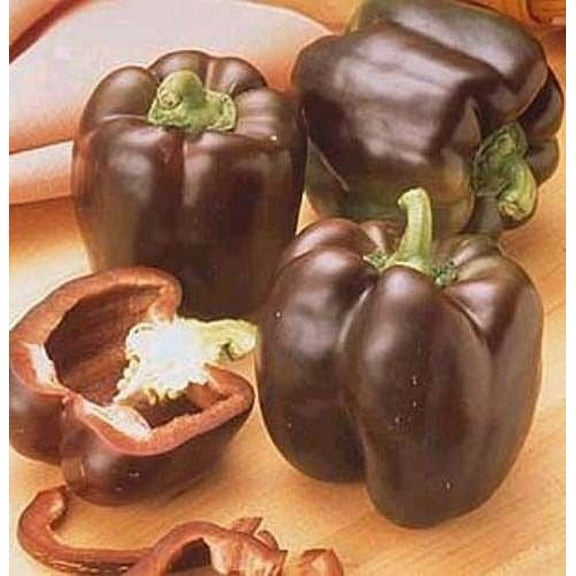 Pepper Sweet Chocolate Beauty Bell Great Heirloom Vegetable By Seed Kingdom BULK 1 OZ Seeds