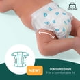 thumbnail image 4 of Pañales Mama Bear Gentle Touch Talla 3, 168 unidades, 4 of 9