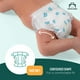 thumbnail image 4 of Pañales Mama Bear Gentle Touch Talla 3, 168 unidades, 4 of 9