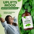 thumbnail image 3 of TRATAK ORGANICS Peppermint Essential Oil, 100% Pure & Natural, Undiluted for Aromatherapy, Diffuser, 4 oz (Pack of 2), 3 of 8