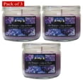 thumbnail image 1 of Candle Jars 3 Ounce Round Jar With Acetate Lid- Lilac Blossom (Pack of 3), 1 of 2