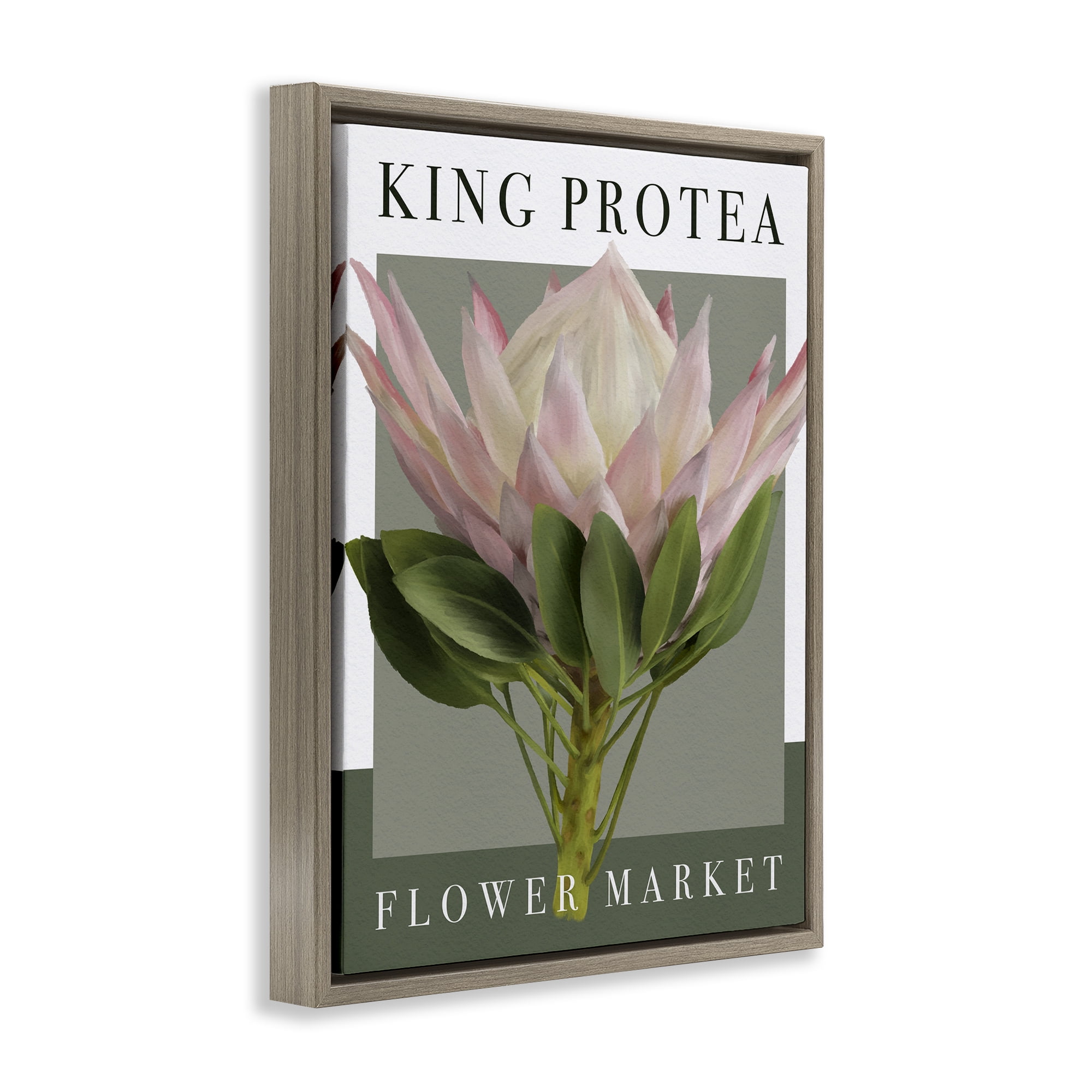 Stupell Industries King Protea Flower Market Brown Framed Floater Canvas Wall Art, design by Jennifer Stith