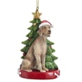 thumbnail image 1 of Weimaraner Dog Wearing Santa Hat with Christmas Tree Ornament E0369WM New, 1 of 1