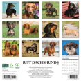 thumbnail image 2 of Dachshunds 2026 12 X 12 Wall Calendar, (Hardcover), 2 of 5