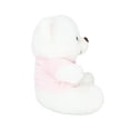 thumbnail image 4 of Oso De Peluche Con Playera Rosa It S A Girl Con Cigüeña, 4 of 5