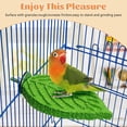 thumbnail image 4 of 3 Pcs Perchoir en Résine pour Perroquet, Pierre à Aiguiser en Forme de Feuille, Support de Perchoir, Coupe-Griffes, Accessoires de Cage pour Cockatiels, Conures, Perruches, Inséparables., Jaune, 4 of 4