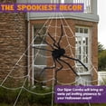 thumbnail image 4 of Joyfy Halloween Decorations Outdoor,59'' Giant Spider with 400 sqft Spider Web Fake Spiders with Triangular Huge Spiders Web for Indoor Outdoor Halloween Decorations Yard Haunted House Decor, 4 of 8