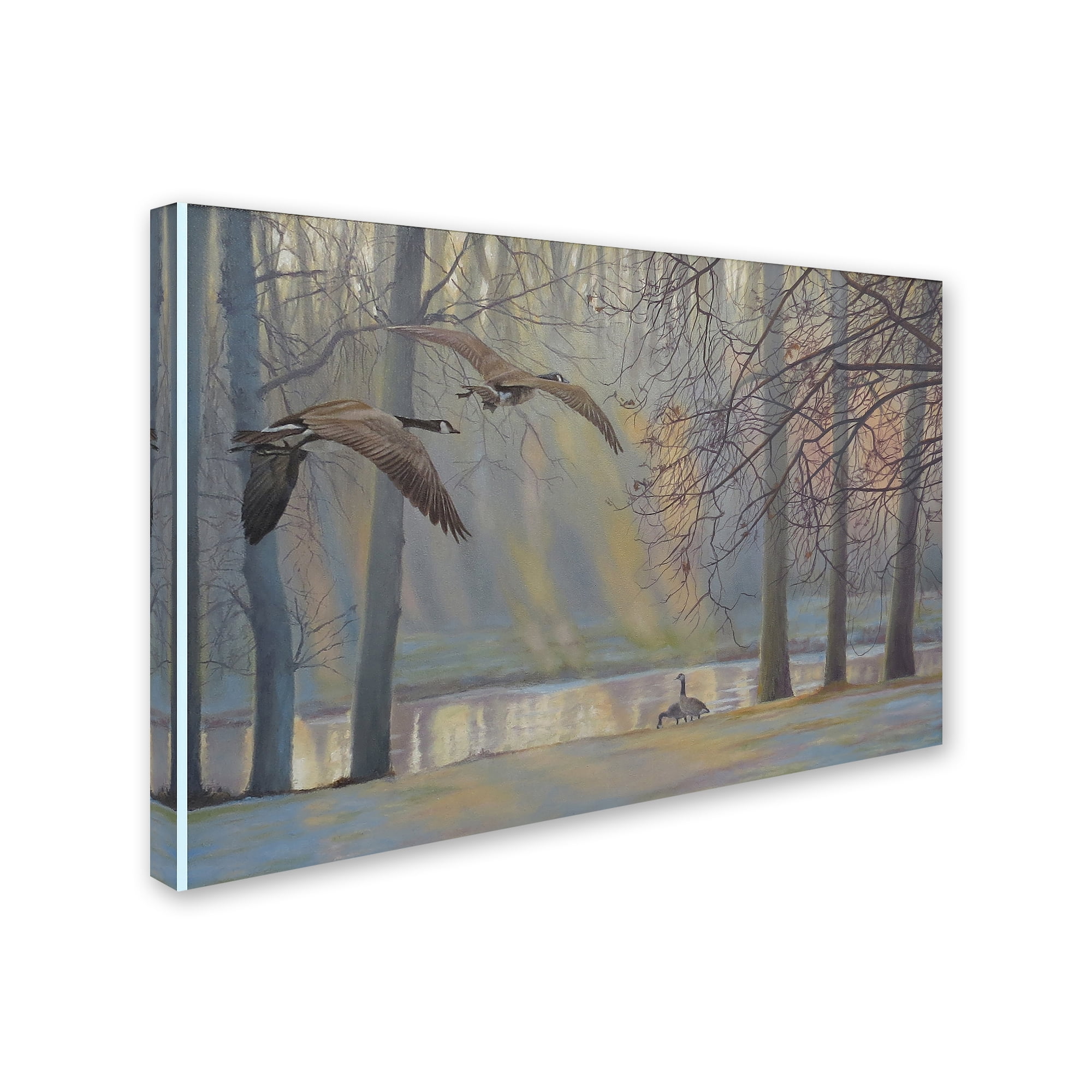 Trademark Fine Art 'Geese An Pond' Canvas Art by Rusty Frentner