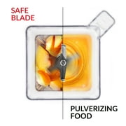 Blendtec Professional 800 with WildSide + Jar Blender - Black