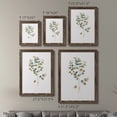 thumbnail image 4 of Eucalyptus I - Premium Framed Canvas 2 Piece Set - Ready to Hang, 4 of 7