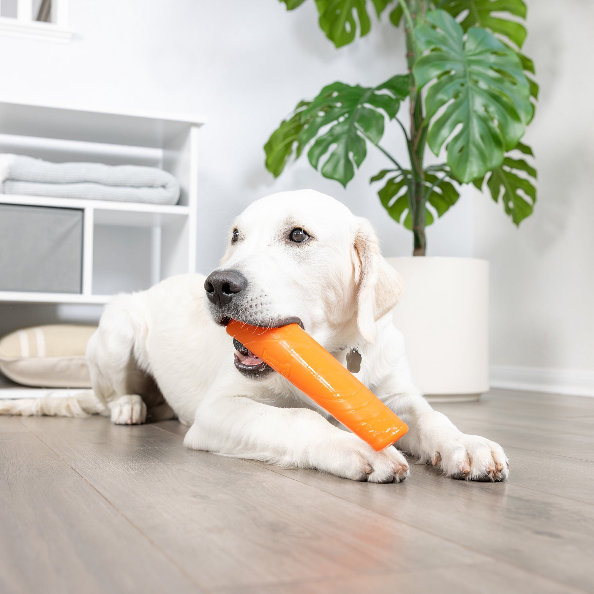 Chuckit! Super Crunch Dog Stick Fetch Toy for Dogs with Crackle Sounds, 9.2" Long for All Size Breeds, Pack of 1