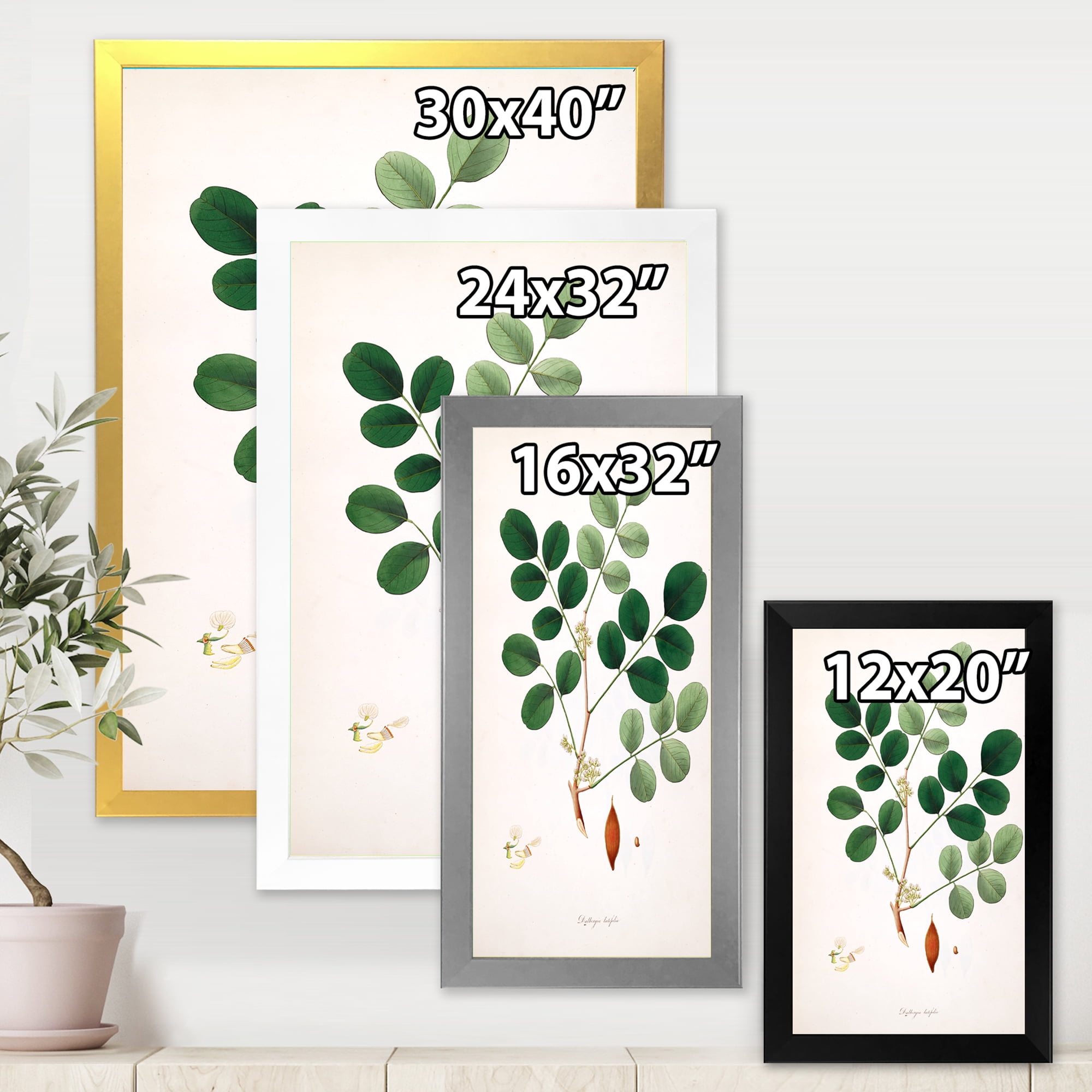 Designart 'Ancient Plant Life XI' Farmhouse Framed Art Print