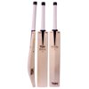SS TON Special Edition Cricket Bat 2025
