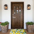 thumbnail image 6 of Balery Design Name Doormats - Non-Slip Front Door Mat Spring Doormat For Front Door Decor, Home, And Office, Welcome Mats With Floral Print 16x24 Inch, 6 of 9