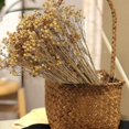 thumbnail image 3 of 20 piezas ramo de flores secas LIUYMXG Aliento de bebé natural decoración amarillas 40 cm, 3 of 5