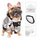 thumbnail image 3 of Fotbe Pigs Sudadera con Estampado para Perros Pequeños – Suéter con Capucha para Mascotas, Tela Suave de Forro Polar con Bolsillo-XX-Large, 3 of 7
