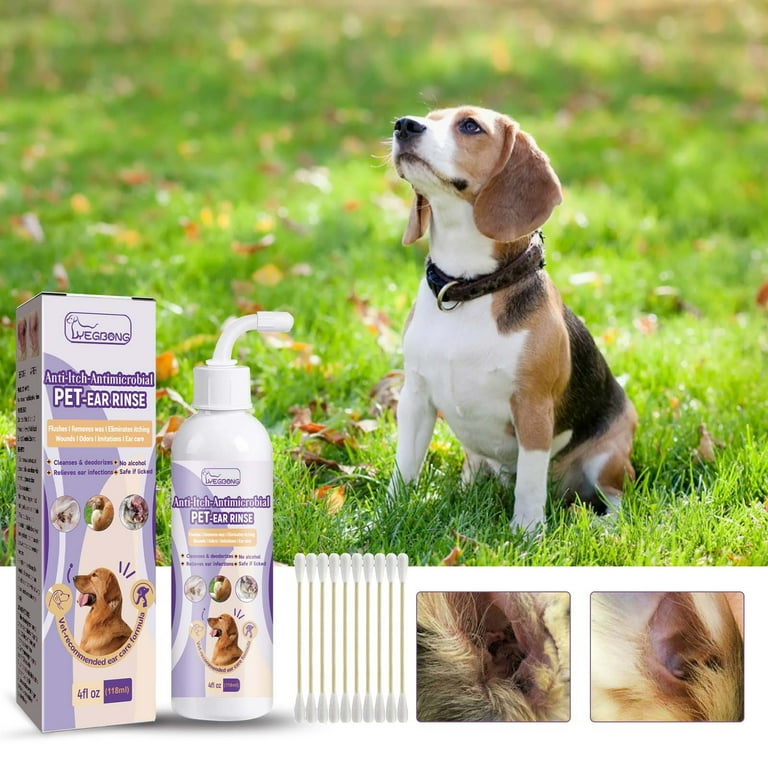 Beagle ear cleaning solution online