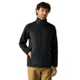 thumbnail image 4 of Regatta Mens Full Zip Padded Jacket, 4 of 5