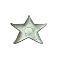 thumbnail image 1 of Grenade Rouge 070-2 Étoile de Mer 10 Po Plaque d'Argent, 1 of 1