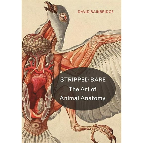 Stripped Bare: The Art of Animal Anatomy, (Hardcover)