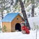 thumbnail image 4 of 1 Uds. Ropa roja para perros, suéter con copos de nieve de Navidad, ropa para mascotas de Halloween, suéter, 4 of 5