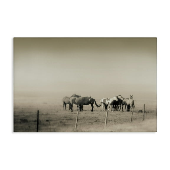 Stupell Industries The Herd Monochrome Horses Canvas Wall Art design by Roberta Murray, 16 x 24