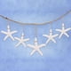 thumbnail image 2 of 60 Piezas de Color Blanco Cremoso Lápiz Estrellas de Mar para Decoración de Bodas, 2 of 6