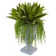 thumbnail image 1 of Nearly Natural 6901 Agave & Senecio Succulent Arrangement, 1 of 1