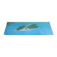 thumbnail image 3 of Decoración de acuario pegatina de papel tapiz para pecera Ticfox PVC, 3 of 12