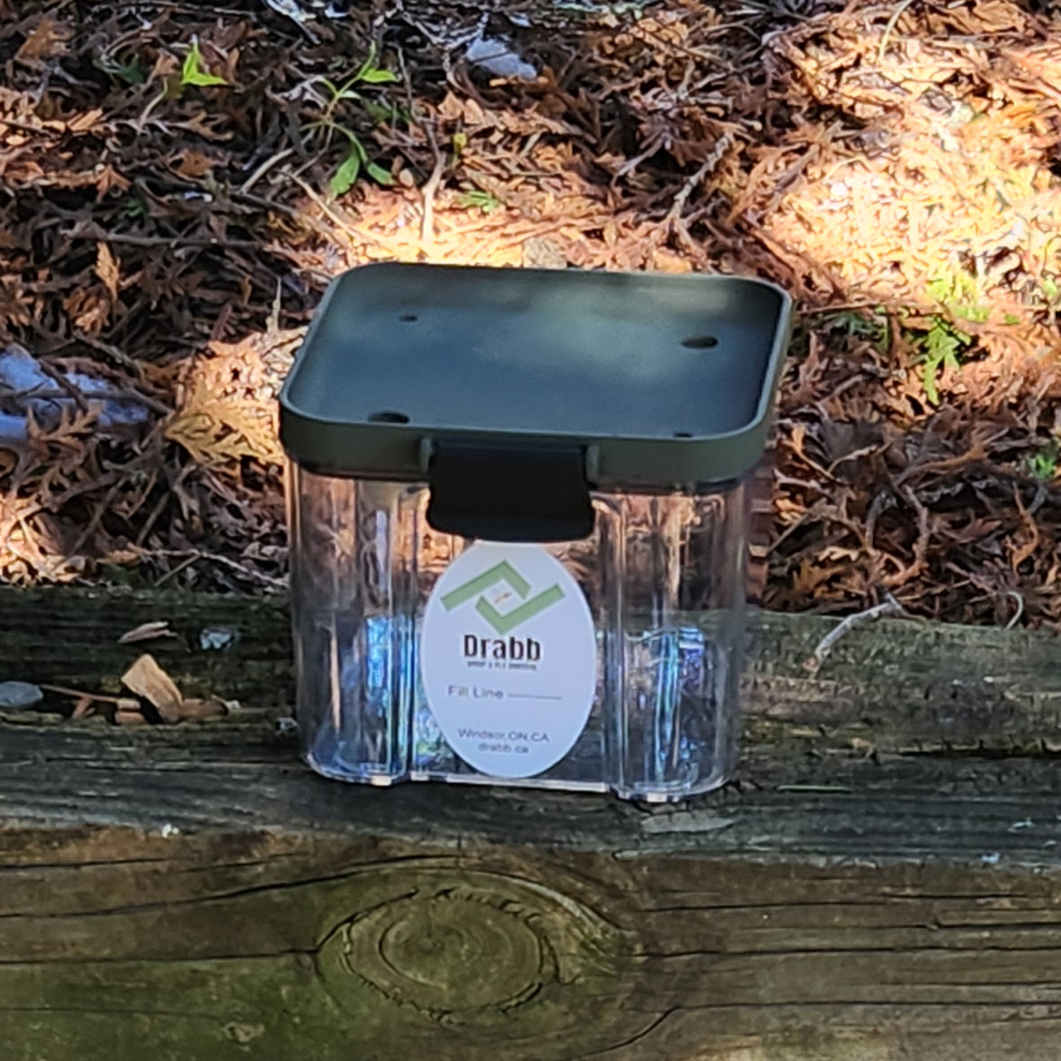 Drabb Discreet 2-Pack Wasp & Fly Traps