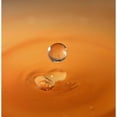 thumbnail image 3 of Putman, Tammy 12x12 Black Modern Framed Museum Art Print Titled - Tomato Soup Drop I, 3 of 5