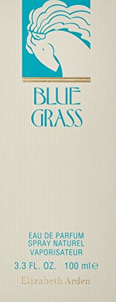 Blue Grass by Elizabeth Arden for Women 3.3 oz Eau de Parfum Spray
