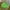 Green, variant on Bxaolu Comfort Meditation Floor Pillow, Round Pillows Seating for Adults, Thick Cushion for Living Room