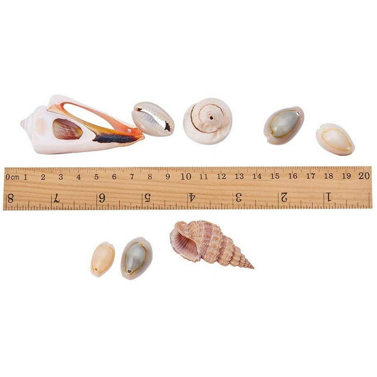 Pandahall 120-150pcs/box White Natural Spiral Shell Beads Sea Shells Beach  Seashells Cowrie Shells Charms and Beads with Hole for DIY Craft Jewelry