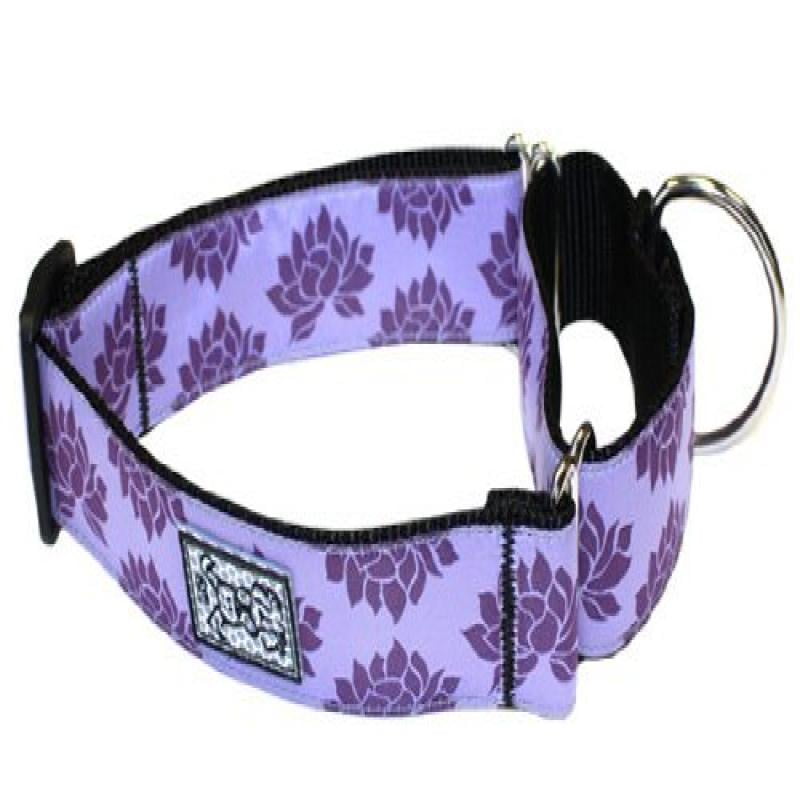 RC Pet Products 11/2Inch All bing Martingale Dog Collar, Small, Nirvana